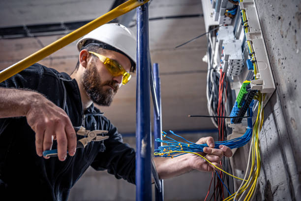 Best Local Electrician Companies  in Trempealeau, WI