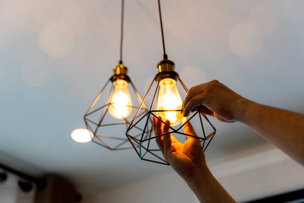 Best Industrial Electrical Services  in Trempealeau, WI